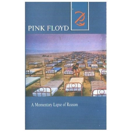 A Momentary Lapse of Reason