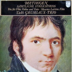 Beethoven: Sämtliche Streichtrios [Vinyl Schallplatte] [3 LP Box-Set]