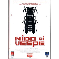 Nido Di Vespe