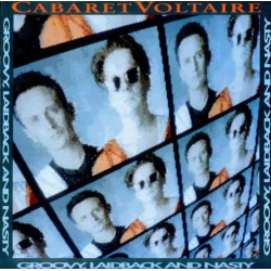 Groovy, Laidback And Nasty [Vinyl LP]