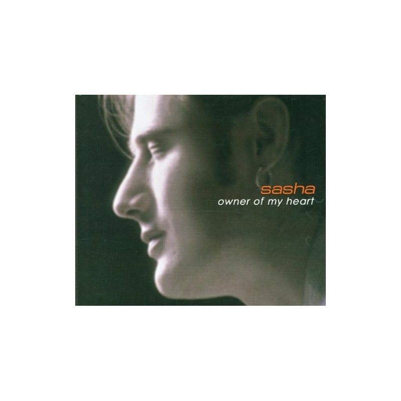 Owner of My Heart (Boogieman R