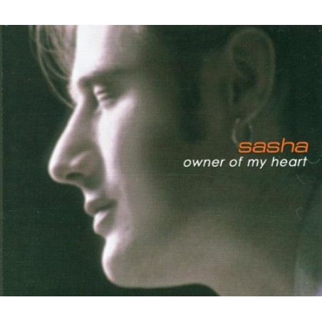 Owner of My Heart (Boogieman R