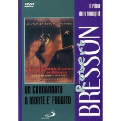 Un condannato a morte è fuggito