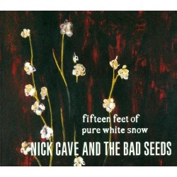 Fifteen Feet of Pure White Snow