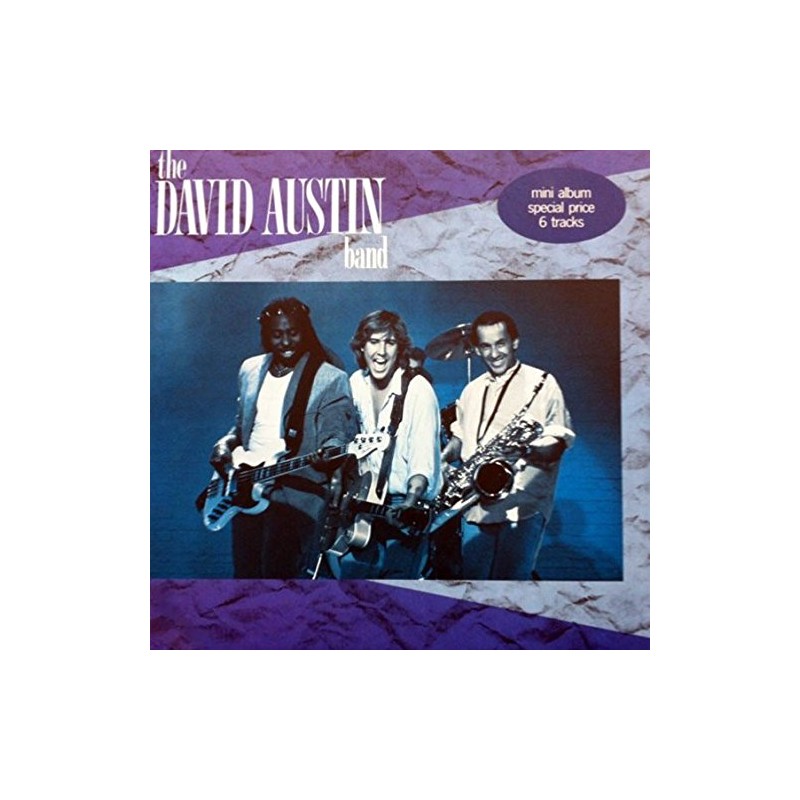 The David Austin Band