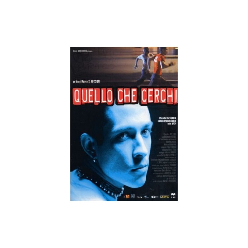 Quello Che Cerchi