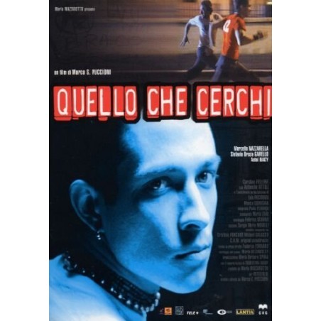 Quello Che Cerchi